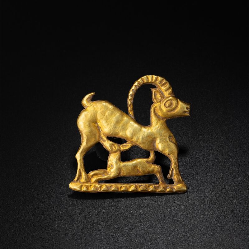 Ibex Standing over a Kid