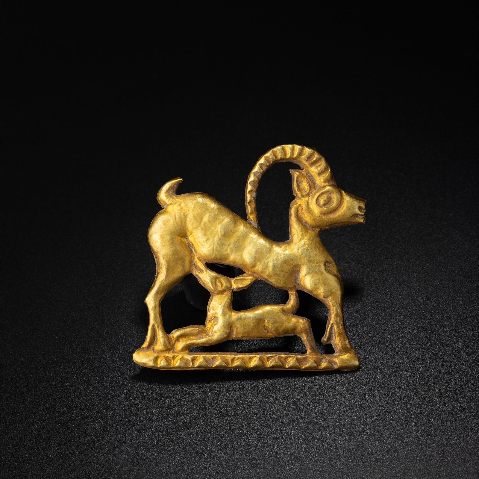 Ibex Standing over a Kid